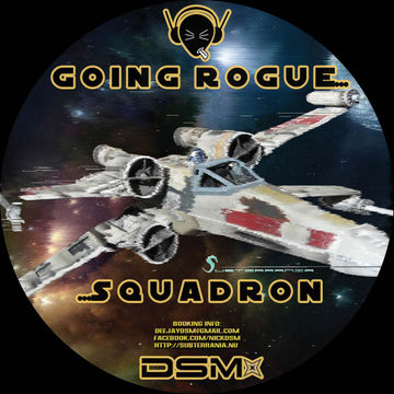 DSM - Going Rogue... Squadron (2011)