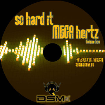 DSM - so hard it MEGA hertz Vol 2 (2014)
