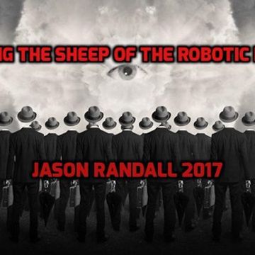 SIZING THE SHEEP OF THE ROBOTIC NATION