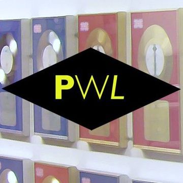 Various Arists -  PWL Hits Factory 2 By Devotion