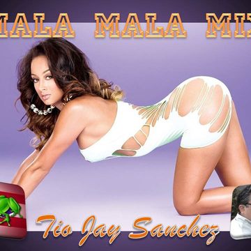 Tio Jay's Mala Mala Salsa Mix