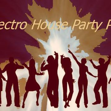 Electro House Party PT 1