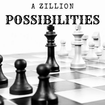 A Zillion Possibilties