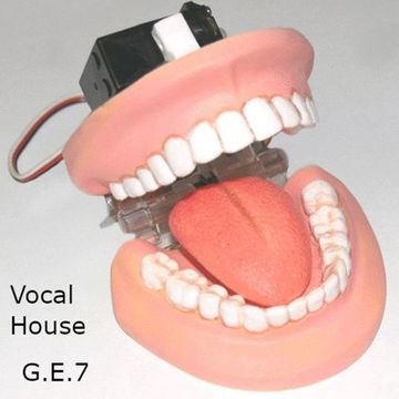 Vocal house