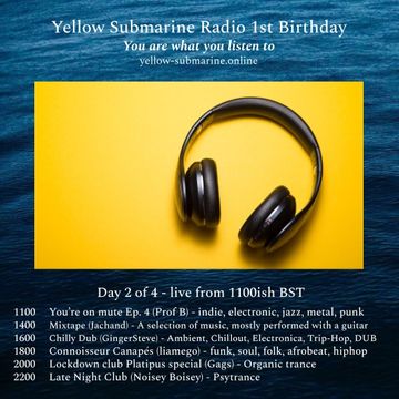 Gingersteve - Yellow Submarine 1st Birthday 20210402 (Chilly Dub)