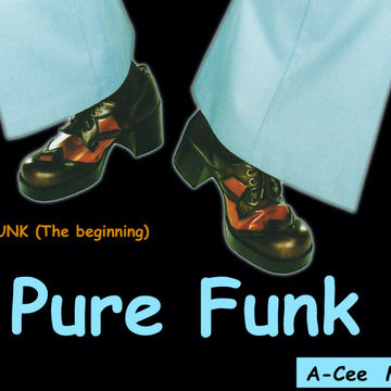 Pure Funk   The Beginning Part 1 (A Cee Mix       CHAP)