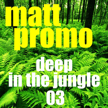 MATT PROMO - Deep In The Jungle 03 (01.04.2003)