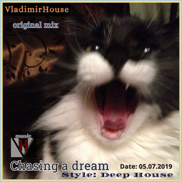 4 Chasing a dream (VladimirHouse original mix)