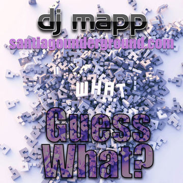 DJ MAPP 24.04.03 GUESS WHAT