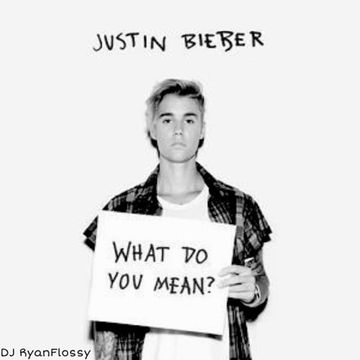 Justin Bieber - What Do You Mean (Massive)