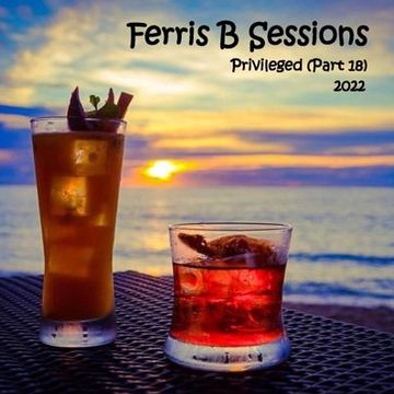 Ferris B Sessions   Privileged (Part 18)