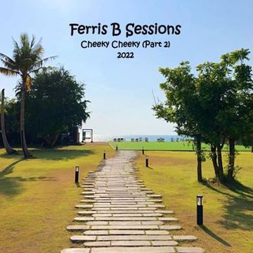 Ferris B Sessions   Cheeky Cheeky (Part 2)