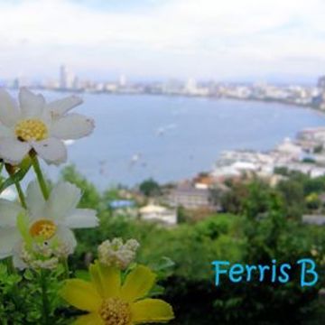 Ferris B Sessions   Deep Grooves (Part 1)