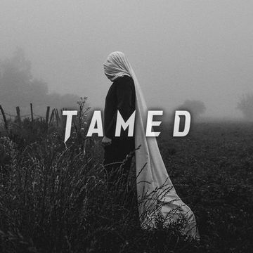 Minimal Techno & Progressive House Mix "TAMED"