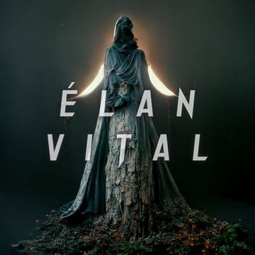 Melodic Techno & House Mix "ÉLAN VITAL"