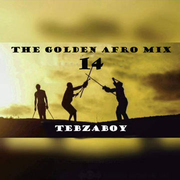 Tebzaboy    The Golden Afro Mix 14