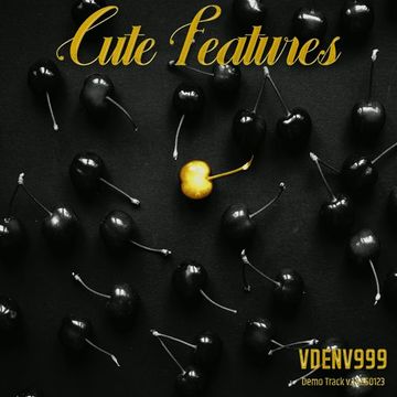 VDenV999 - Cute Features (Demo Track v.1.1.250123)