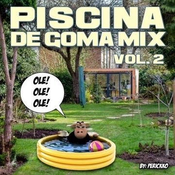 Piscina de Goma Mix Vol.2