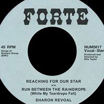 Reaching for our star  - Soul, disco and boogie mix