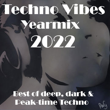  Techno Vibes Yearmix 2022 [Tiger Stripes, HI-LO, Layton, Mha Iri, Adam Beyer, Kaspar, & more] 