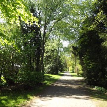 Veluwe Velocity