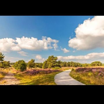 Veluwe Velocity 2