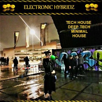 Electronic Hybridz