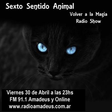 #1019 Sexto Sentido Animal