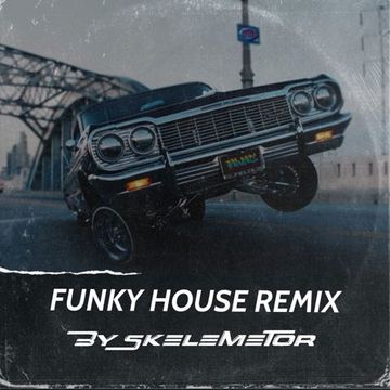 Funky House Remix by Skelemetor