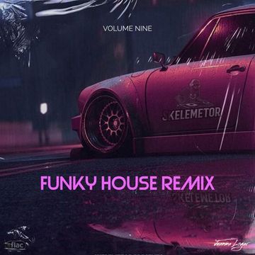 Funky House Remix Vol.9 by Skelemetor