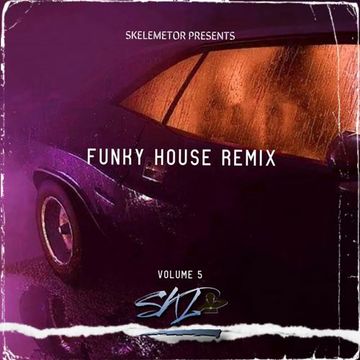 Funky House Remix Vol.5 by Skelemetor