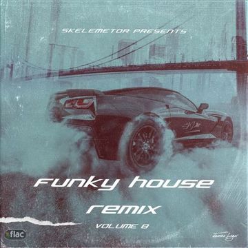 Funky House Remix Vol.8 by Skelemetor