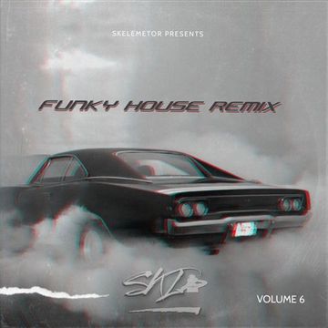 Funky House Remix Vol.6 by Skelemetor