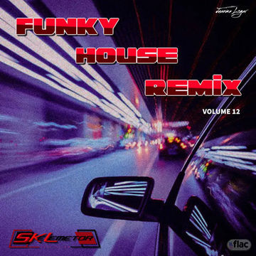 Funky House Remix Vol.12 by Skelemetor