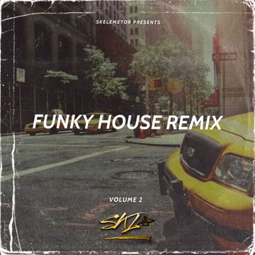 Funky House Remix Vol.2 by Skelemetor