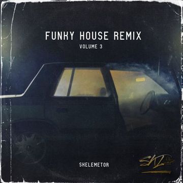 Funky House Remix Vol.3 by Skelemetor Flac