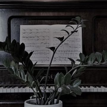 Music For Plants 1 hour guest slot 15.03.23