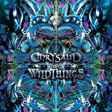 Chrysalid & Wildthings - SomethinGroovy Stage :: 11.06.2017