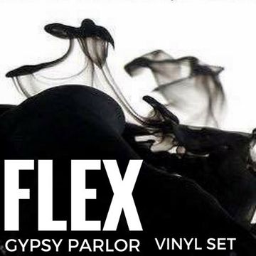 FLEX live at IGLOO - Buffalo NY - Vinyl Set