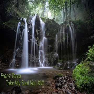 Franz Terzo   Take My Soul Vol. XVI