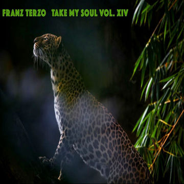 Franz Terzo   Take My Soul Vol. XIV