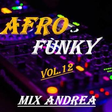 AFRO FUNKY VOL.12 MIX ANDREA