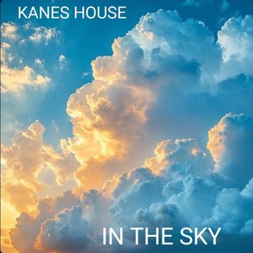 IN THE SKY