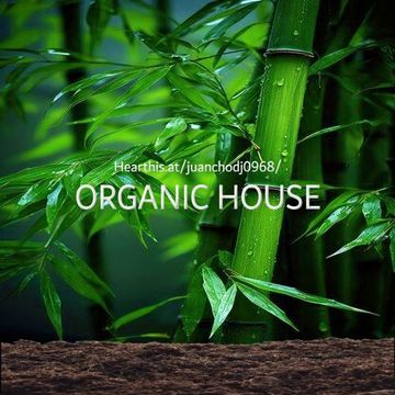 Jch Dj0968   Organic House