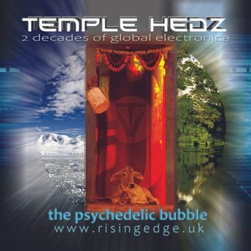 The Psychedelic Bubble Show feat Temple Hedz