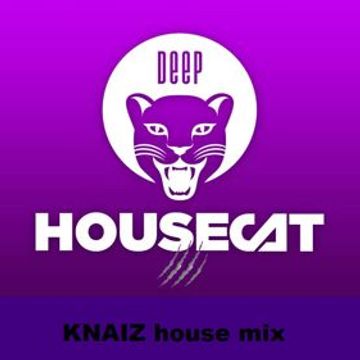 Deep House Cat Mix (2023 02 12)