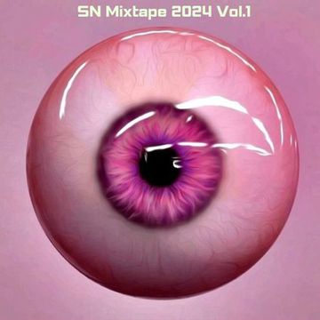 SN Mixtape 2024 Vol.1 