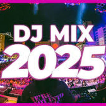 Mega Mix Disco 2k25