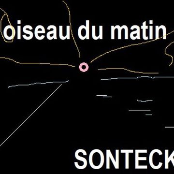 oisseau du matn