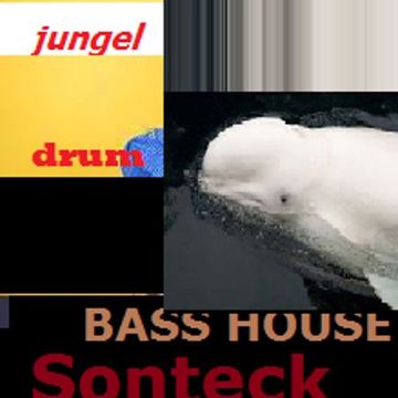 hear this 2